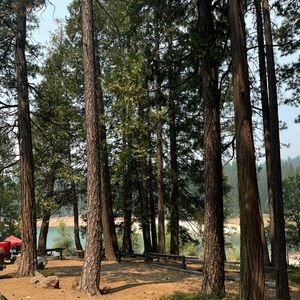 Meet your Posher, Nichole